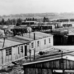 Von 1946 bis 1964 wurden im ehemaligen Kriegsgefangenenlager Nürnberg-Langwasser Displaced Persons untergebracht. Pressearchiv Nürnberg-Verlag Nürnberger Presse